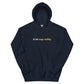 "dink responsibly" Unisex Hoodie